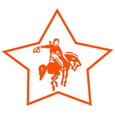 camp stewart for boys logo