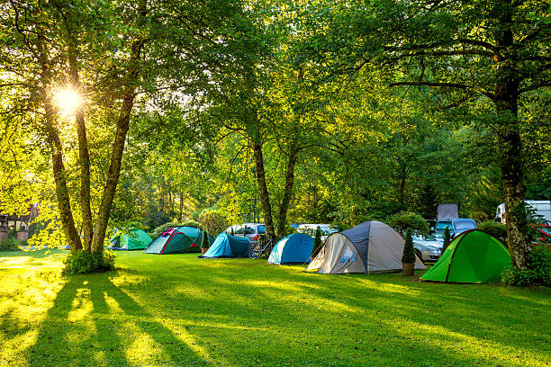 best overnight summer camps in new york
